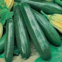 Кабачок Ажур Вороной F1 1г