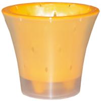 Кашпо для орхидей Ванда 6л прозрачный с желтой вставкой ВД25-04