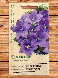 Платикодон (Ширококолокольчик крупноцветковый) Звезда голубая F1, крупноцветковый 5 шт