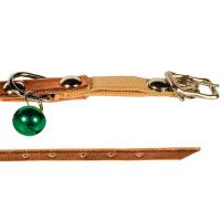 Ошейник синтетик 10мм д/кошек с резинкой 22-28см/00210102