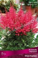 Астильба гибридная Юник Кармин (I) 1 шт