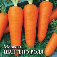 Морковь Шантенэ Роял 25 г Морковь Шантенэ Роял 25 г