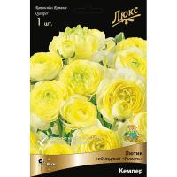 Лютик гибридный Романс Кемпер /К 839690 Лютик гибридный Романс Кемпер /К 839690
