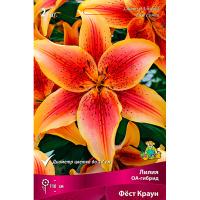 Лилия ОА-Гибрид Фест Краун