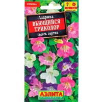 Азарина Вьющийся триколор, смесь сортов 5шт