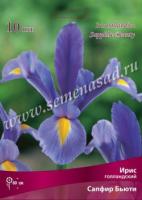 Ирис Голландский Сапфир Бьюти 