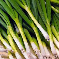 Лук батун Параде 10000шт