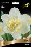 Нарцисс Махровый Попайс Нарцисс Махровый Попайс