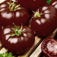 Томат Черный принц 0,2г Томат Черный принц 0,2г