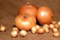 Лук-севок Штуттгартер Ризен 1кг+-10% Лук-севок Штуттгартер Ризен 1кг+-10%