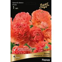 Лютик гибридный Романс Параду /К 839688 Лютик гибридный Романс Параду /К 839688