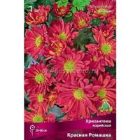 Хризантема корейская Красная ромашка 1шт 