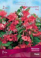 Бегония Ампельная Пинк