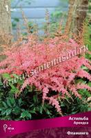 Астильба Арендса Фламинго (I) 1 шт
