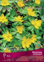 Весенник зимующий Эрантис 10шт 