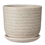 Пряности белый бук №2 1,6л