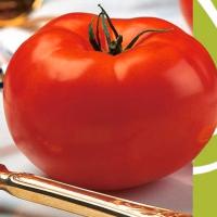 Томат Волверин F1 1000 шт