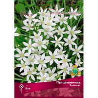 Птицемлечник Баланза (5/6) 10шт 839654