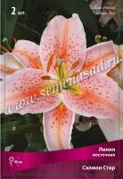 Лилия Восточная Салмон Стар (12/14) 5 шт