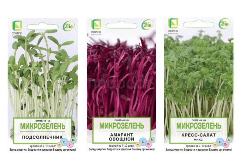 Микрозелень на подоконнике