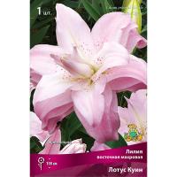 Лилия Восточная махровая Лотус Куин