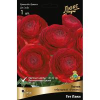 Лютик гибридный Романс Гет Лаки /К 839683 Лютик гибридный Романс Гет Лаки /К 839683