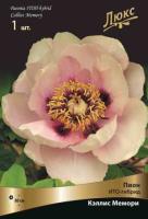 Пион ИТО-гибрид Кэллис Мемори 1шт (2-3)