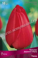 Тюльпан Дарвинов гибрид Парад  (11/12) 10 шт