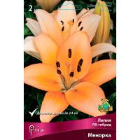 Лилия ЛА-Гибрид Менорка персиковый, 2шт,14/16