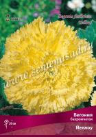 Бегония Бахромчатая Йеллоу (4/5) 2 шт