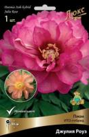 Пион ИТО-гибрид Джулия Роуз 1шт (2-3) 