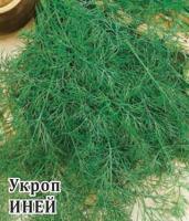 Укроп Иней 25 г