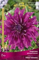Георгина декоративная Пёпл Тайхейо (I) 1 шт 