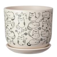 Коты белый бук №1 0,8л