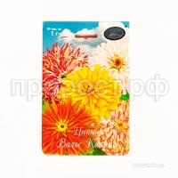 Цинния Вальс Каприс смесь 201 Каприс Цинния Вальс Каприс смесь 201 Каприс