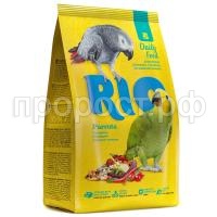 RIO_parrots_pachka_r RIO_parrots_pachka_r