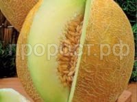 Дыня Южанка 25 г Дыня Южанка 25 г