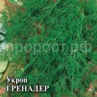 Без названия (4) Без названия (4)