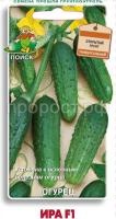 Огурец Ира F1 12шт