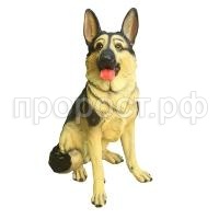 овчарка овчарка