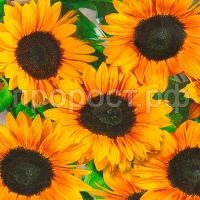 a0b4434f_11ef_11ea_9ac1_d485645420e6_b4cbc4fc_1f2e_11ea_87ab_d485645420e6