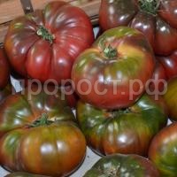 full_tomat-thernyi-krym-1 full_tomat-thernyi-krym-1