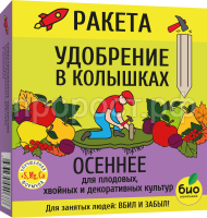 РАКЕТА Осенняя РАКЕТА Осенняя