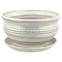 697403фиалочница белжемч