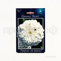 Цинния Полярный медведь Белая 201 Каприс