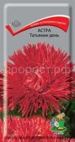 Астра Татьянин день Астра Татьянин день