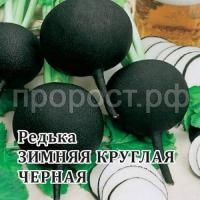 Редька Зимняя круглая черная 100 г