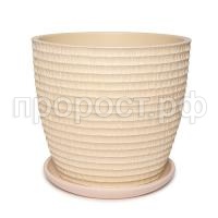 Плиссе шампань бутон Плиссе шампань бутон