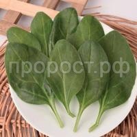 Шпинат Крепыш