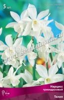 Нарцисс Триандрусовый Талия (белый, многоцветковый, ароматный, 5шт, 12-14) 390021 Нарцисс Триандрусовый Талия (белый, многоцветковый, ароматный, 5шт, 12-14) 390021
